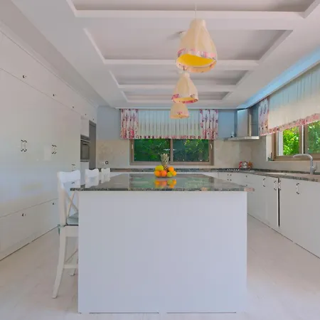 Villa Belis&liya Fethiye