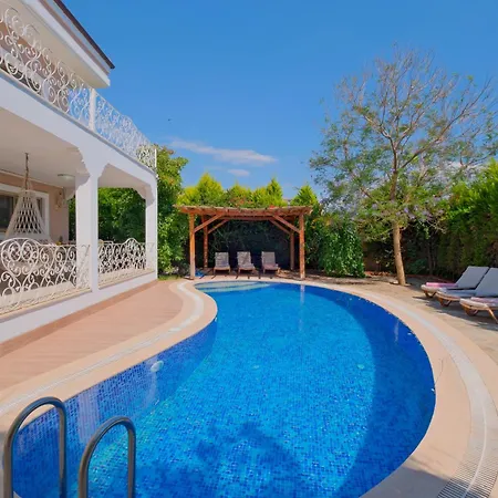 Belis&liya * Φετιγιέ